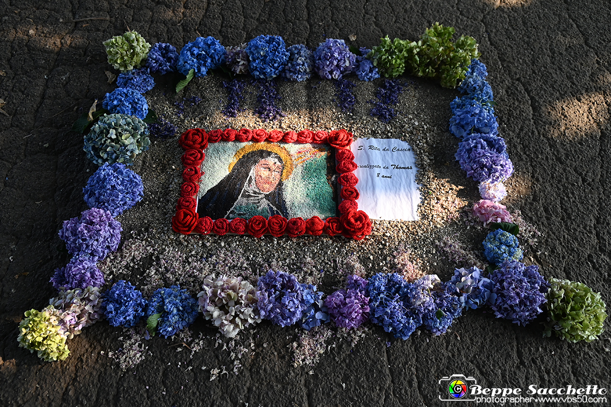 VBS_9824 - Infiorata Santuario della Madonnina di Villanova d'Asti 2024.jpg